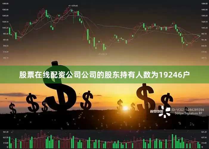 股票在线配资公司公司的股东持有人数为19246户