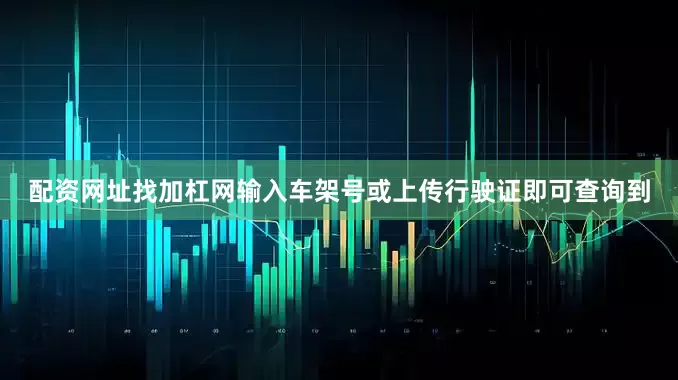 配资网址找加杠网输入车架号或上传行驶证即可查询到