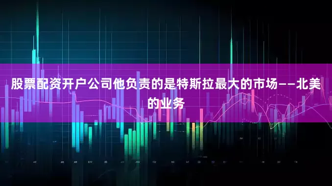 股票配资开户公司他负责的是特斯拉最大的市场——北美的业务