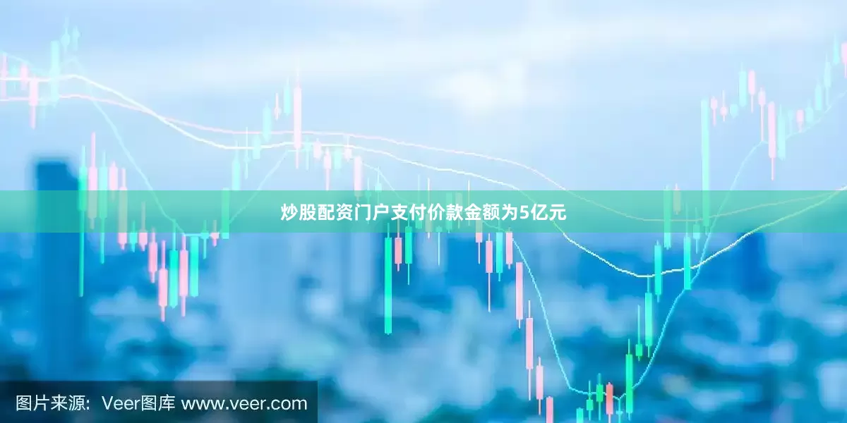 炒股配资门户支付价款金额为5亿元